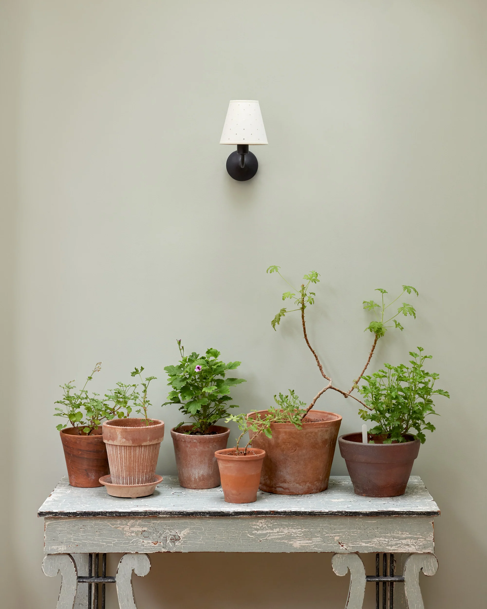 Wall Light, Matt Black - Image 3